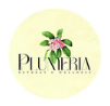 Plumeria